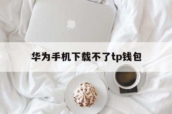 华为手机下载不了tp钱包,华为手机下载不了tiktok