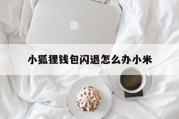 关于小狐狸钱包闪退怎么办小米的信息