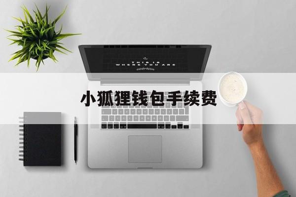 小狐狸钱包手续费,小狐狸钱包安全性如何