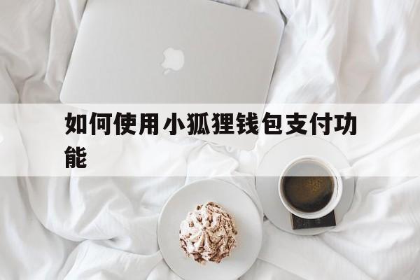 如何使用小狐狸钱包支付功能,如何使用小狐狸钱包支付功能设置