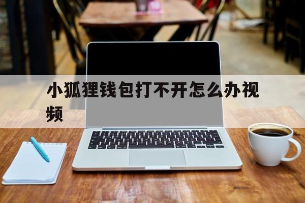 小狐狸钱包打不开怎么办视频,小狐狸钱包打不开怎么办视频教程