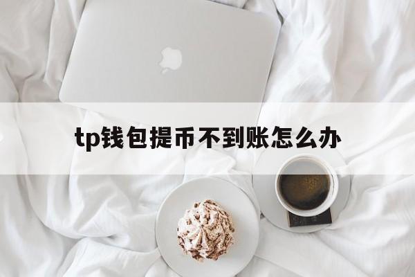 tp钱包提币不到账怎么办,tp钱包新上的币看不到金额
