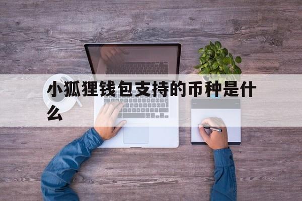 小狐狸钱包支持的币种是什么,小狐狸钱包支持的币种是什么样的