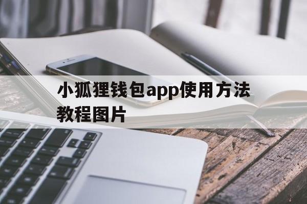 小狐狸钱包app使用方法教程图片,小狐狸钱包app使用方法教程图片大全