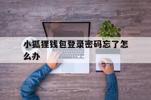 小狐狸钱包登录密码忘了怎么办,小狐狸钱包登录密码忘了怎么办呢