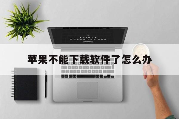 苹果不能下载软件了怎么办,苹果不能下载软件了怎么办呢