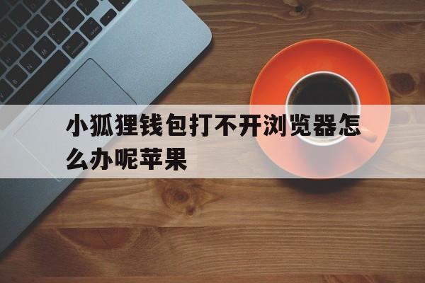 小狐狸钱包打不开浏览器怎么办呢苹果,小狐狸钱包打不开浏览器怎么办呢苹果版