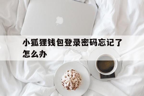 小狐狸钱包登录密码忘记了怎么办,小狐狸钱包登录密码忘记了怎么办呢