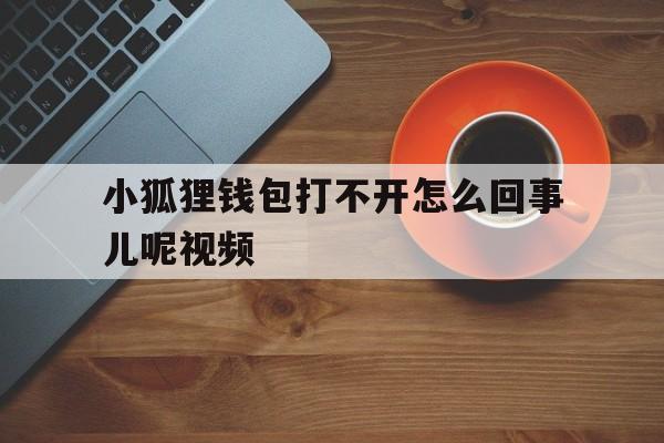 小狐狸钱包打不开怎么回事儿呢视频,小狐狸钱包打不开怎么回事儿呢视频教学