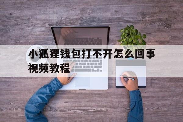 小狐狸钱包打不开怎么回事视频教程,小狐狸钱包打不开怎么回事视频教程全集