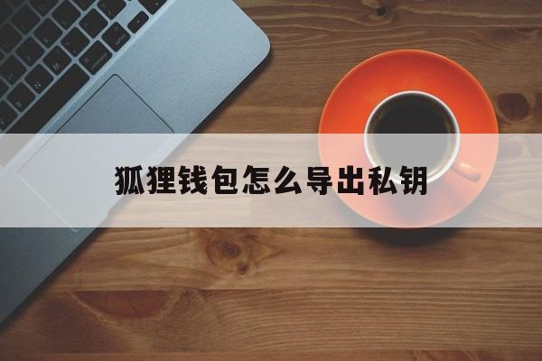 狐狸钱包怎么导出私钥,狐狸钱包怎么导出私钥密码