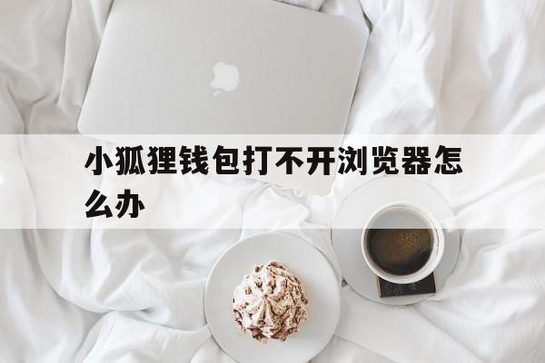 小狐狸钱包打不开浏览器怎么办,小狐狸钱包打不开浏览器怎么办呢