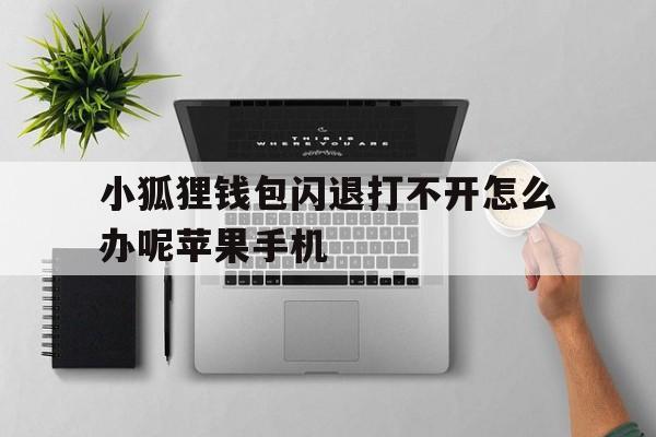 小狐狸钱包闪退打不开怎么办呢苹果手机,小狐狸钱包闪退打不开怎么办呢苹果手机怎么设置