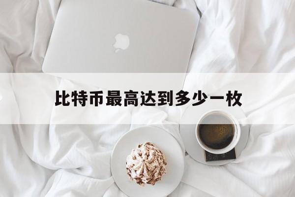 比特币最高达到多少一枚,比特币最高达到多少万美元一枚