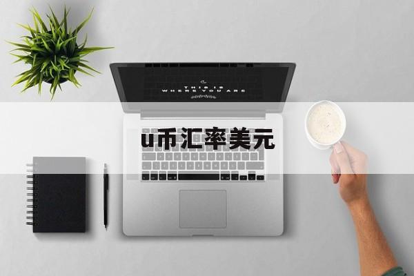 u币汇率美元,u币兑换人民币比例
