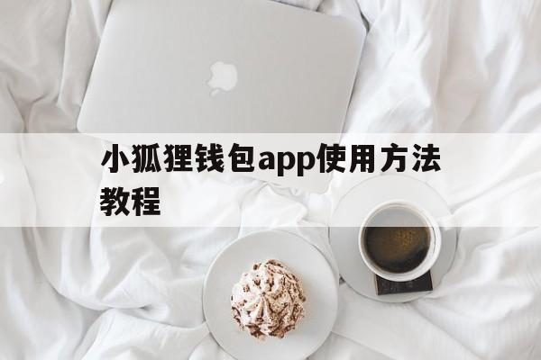 小狐狸钱包app使用方法教程,小狐狸钱包app使用方法教程图片