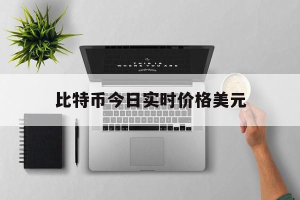 比特币今日实时价格美元,比特币价格今日行情走美元
