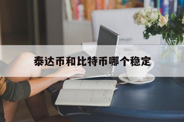 泰达币和比特币哪个稳定,泰达币和比特币哪个稳定一点