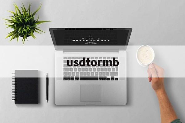 usdtormb的简单介绍