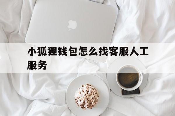 小狐狸钱包怎么找客服人工服务,小狐狸钱包怎么找客服人工服务的