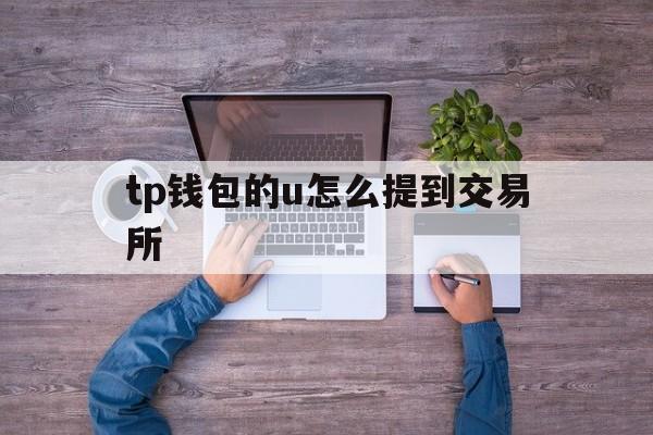 tp钱包的u怎么提到交易所,tp钱包里的usdt怎么提到交易所