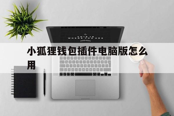 小狐狸钱包插件电脑版怎么用,小狐狸钱包插件电脑版怎么用不了