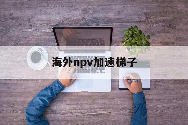海外npv加速梯子,电脑海外pvn加速器