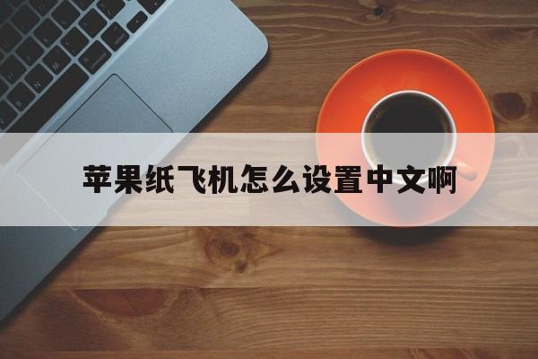苹果纸飞机怎么设置中文啊,苹果手机纸飞机中文版怎么设置