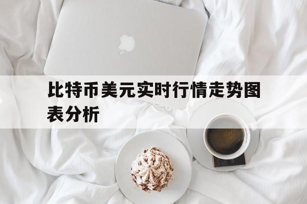 比特币美元实时行情走势图表分析,比特币美元实时行情走势图表分析最新