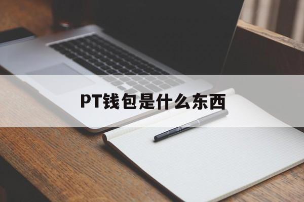 PT钱包是什么东西,pt钱包怎么样可以投吗